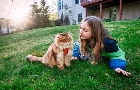 a girl and a cat on the yard