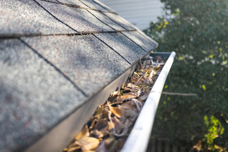 gutter with leaves and debris