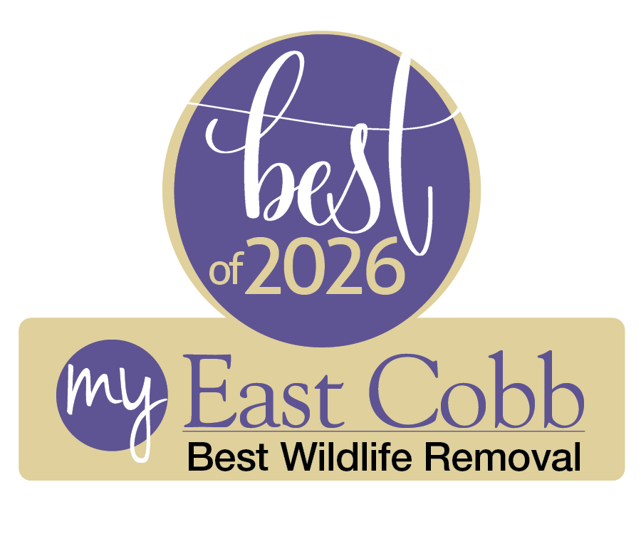 2026 Best of East Cobb